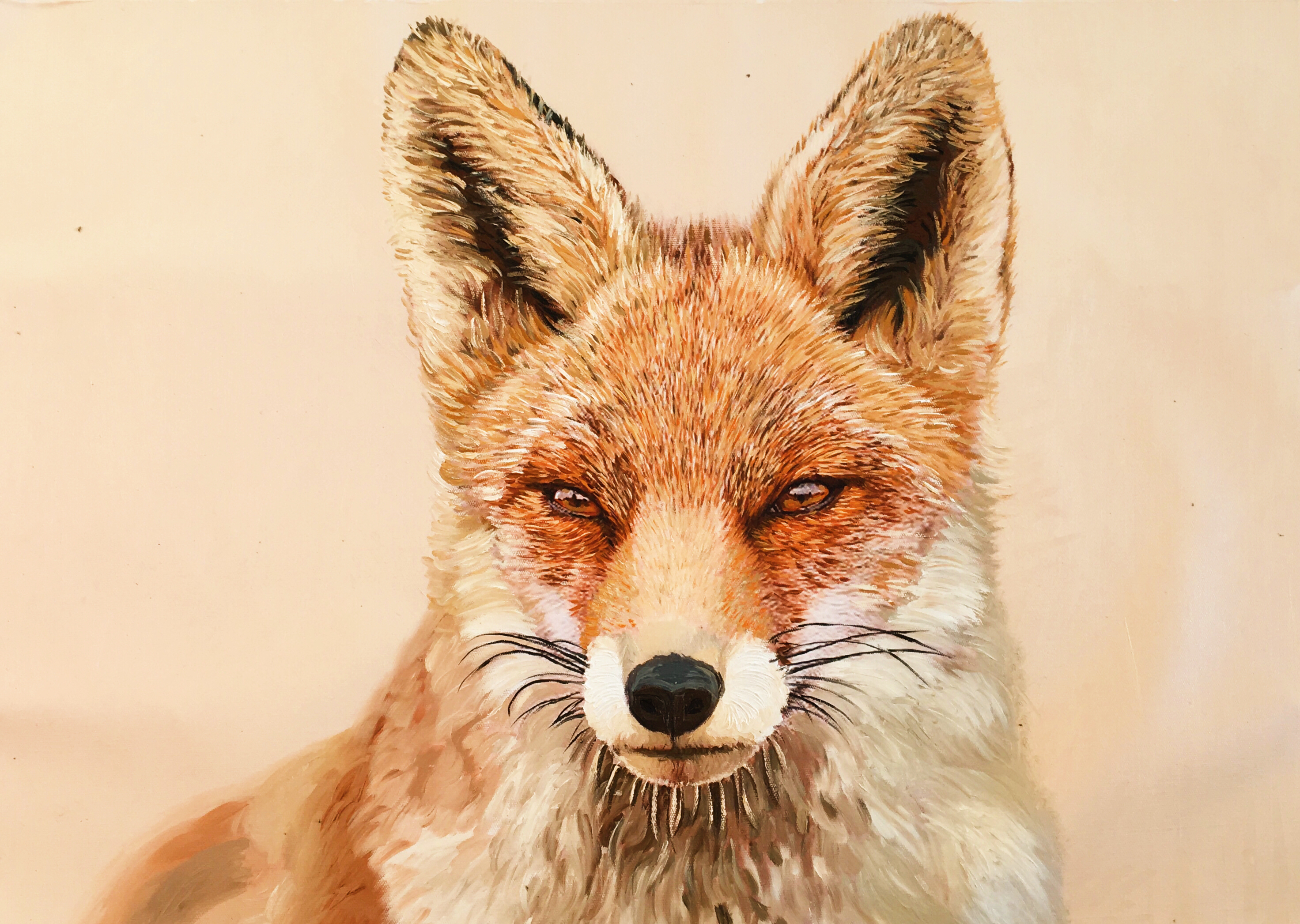 狐狸超写实油画