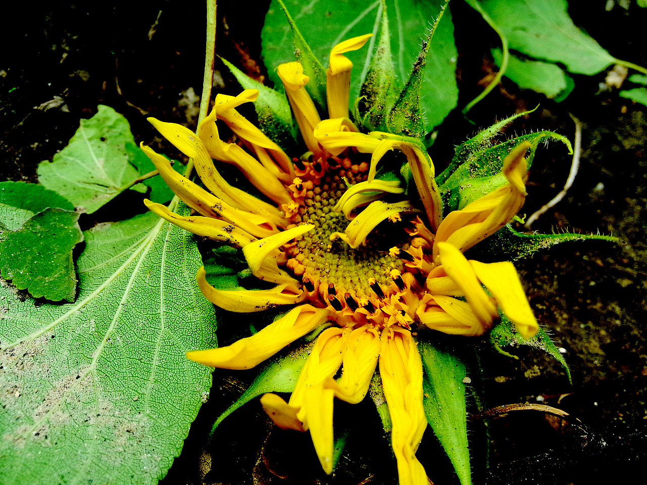 手机摄影拍拍拍~（图ZNTQyODcwNzY=） - 产品摄影 - 站酷设计师一大口黑锅原创素材 - 站酷ZCOOL