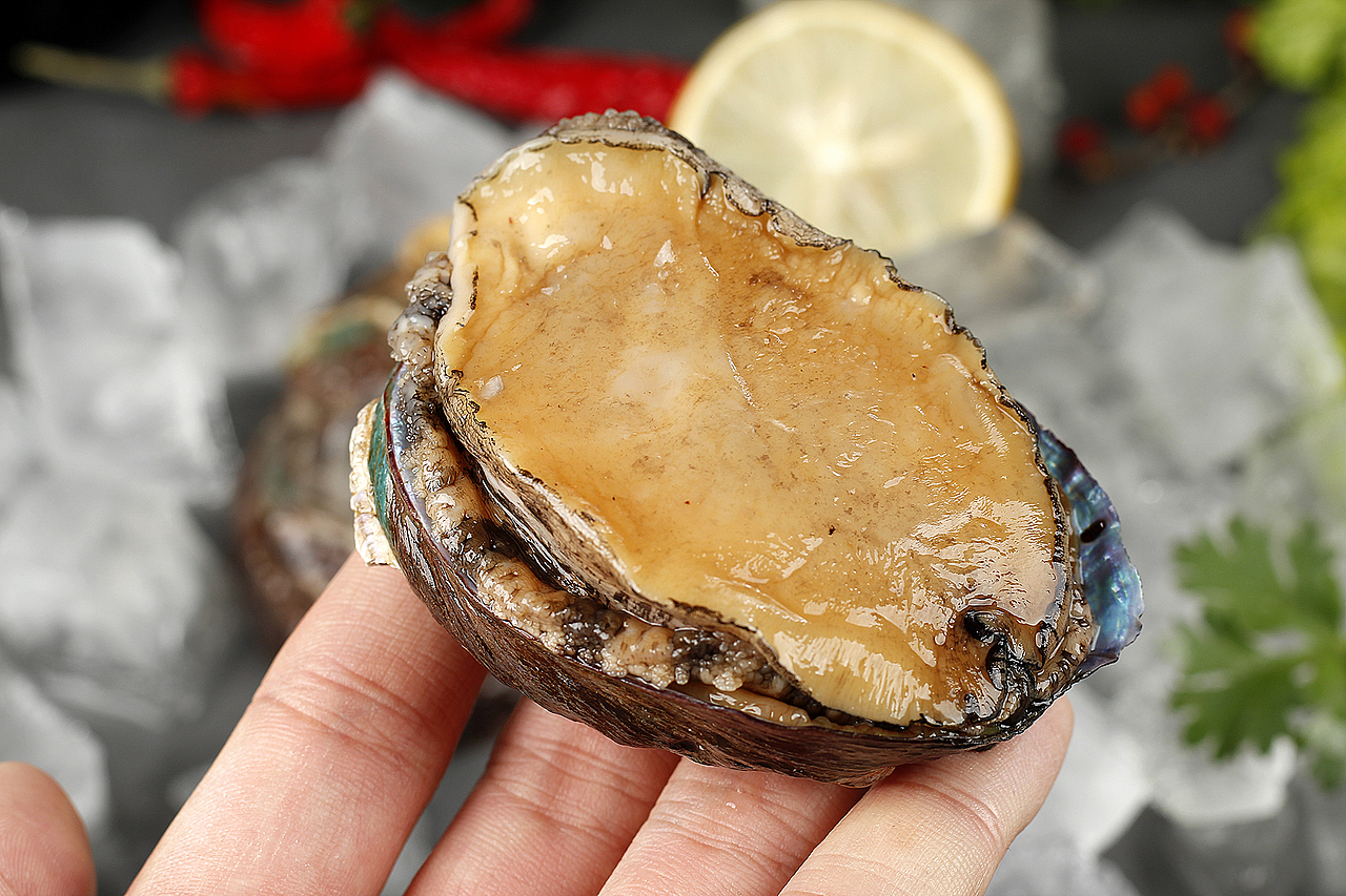 鲍鱼丨生鲜海产品客户约拍丨年末拍了一堆海鲜