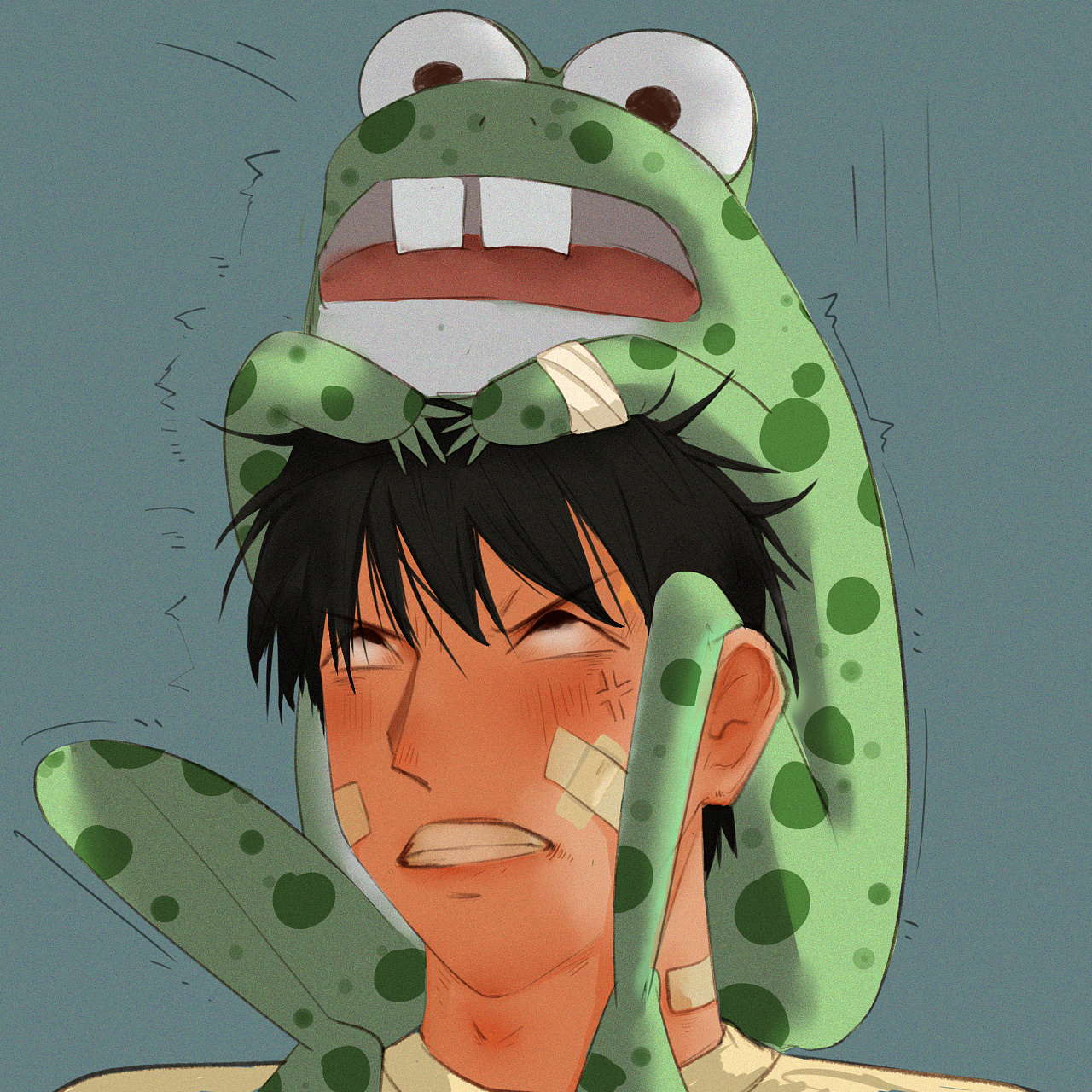 骑在头上的青蛙