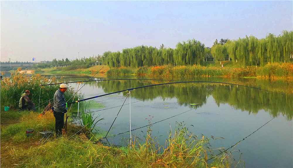 刘勇良手机纪实摄影闲来垂钓碧溪上