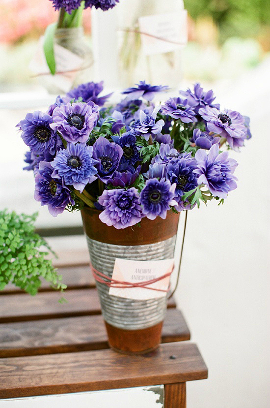 紫色元素（图ZMjE2MDE4MDcy） - 产品摄影 - 站酷设计师清平么么哒原创素材 - 站酷ZCOOL