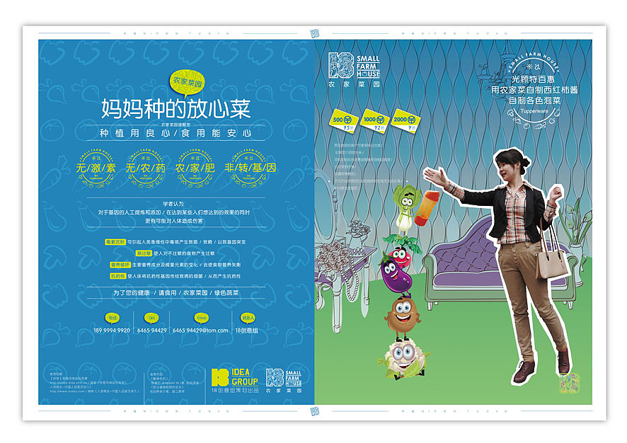 诚与实务出品:无公害蔬菜项目推广设计