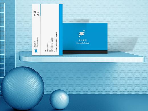 盛大集團(tuán)名片（個(gè)人主頁-ZNTMzNjU4ODA=） - 其他UI - 站酷設(shè)計(jì)師L李鶴原創(chuàng)素材 - 站酷ZCOOL