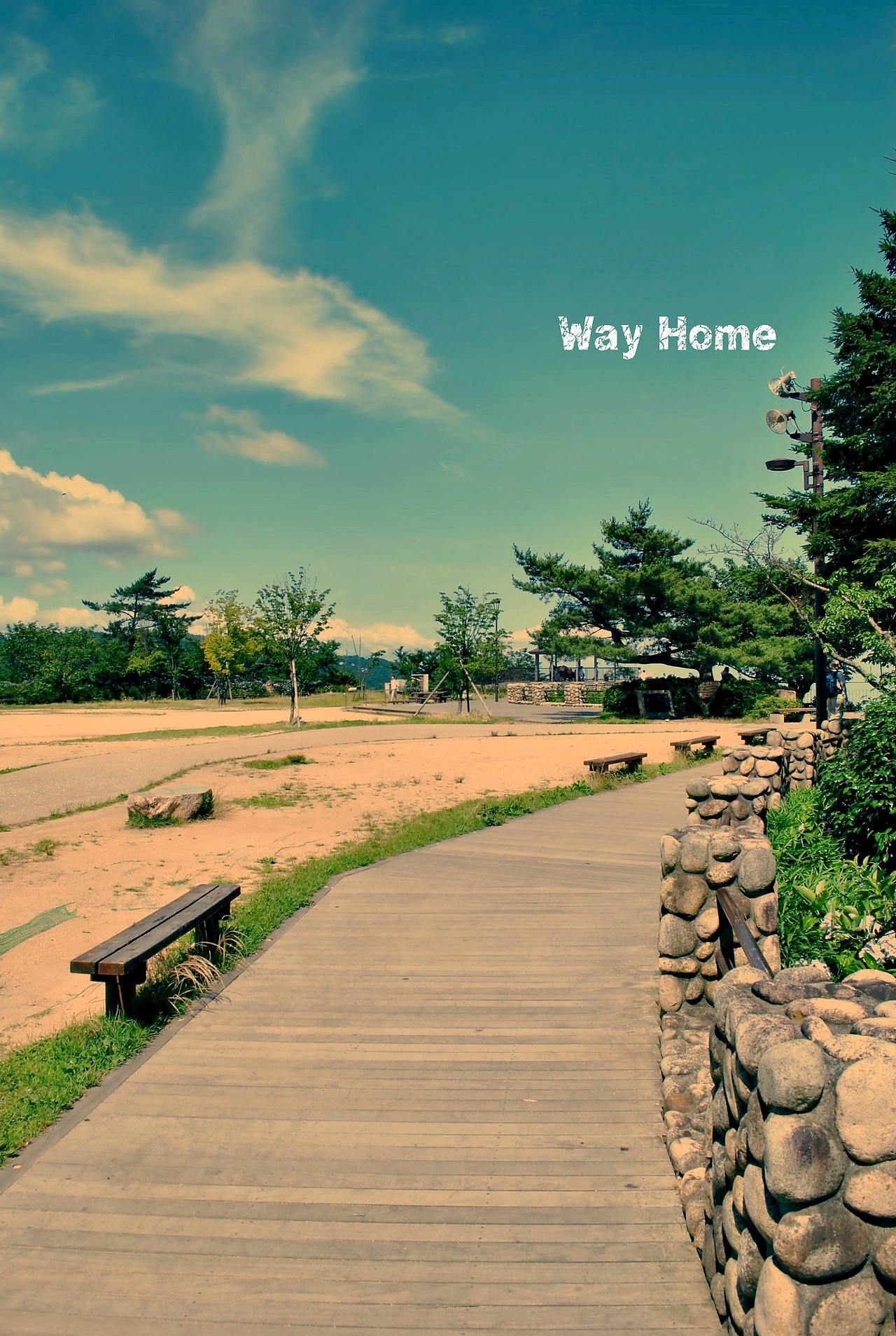 RoyWang作品 Way Home 回家