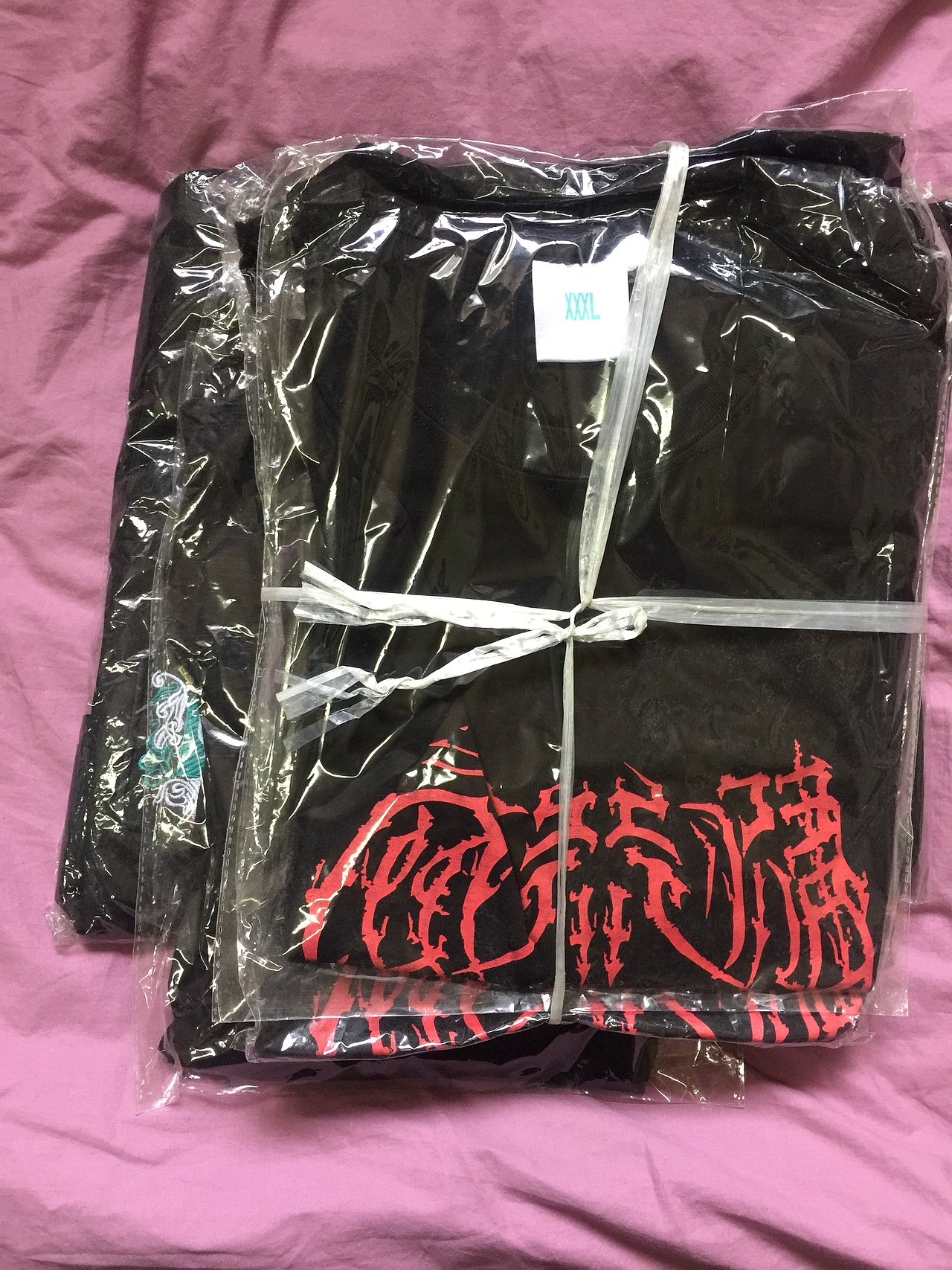 天行健乐队专辑及T恤衫