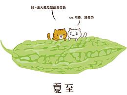 爱苦瓜的喵