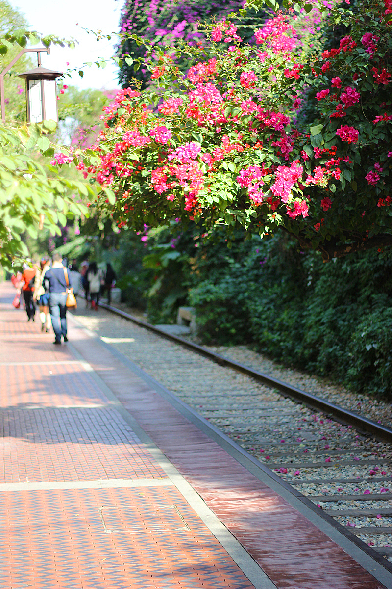 厦门铁路文化公园