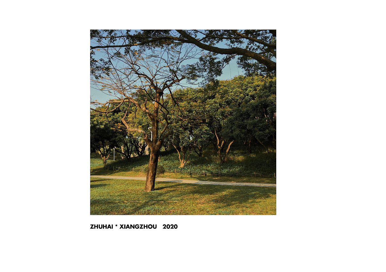 来自2020的手机摄影总结（图ZMjM4OTIzNzk2） - 人文/纪实摄影 - 站酷设计师霖马桶原创素材 - 站酷ZCOOL