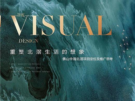 佛山项目定位及推广思考