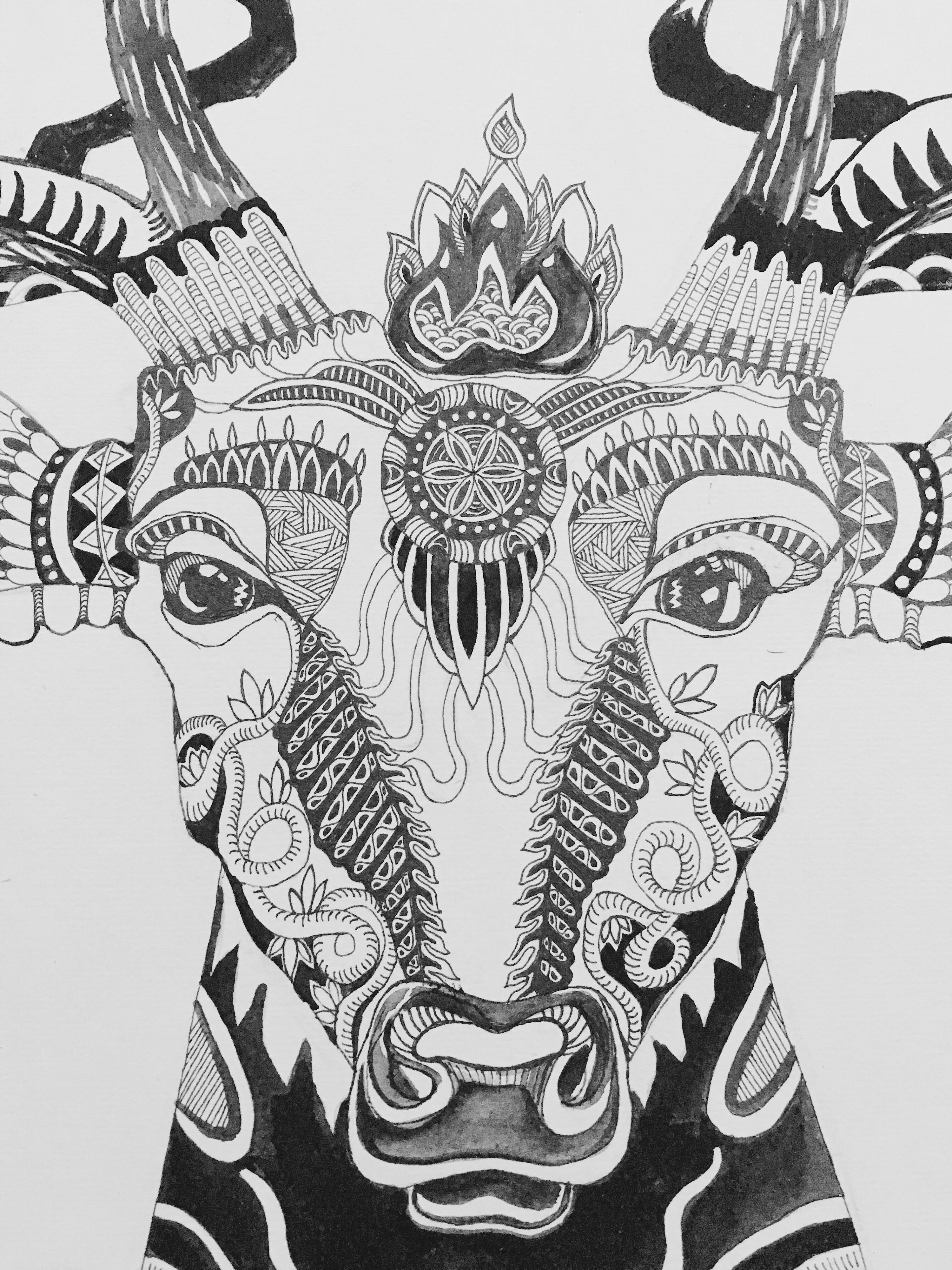 鹿头~|插画|商业插画|少野1029 - 原创作品 - 站酷 (zcool)