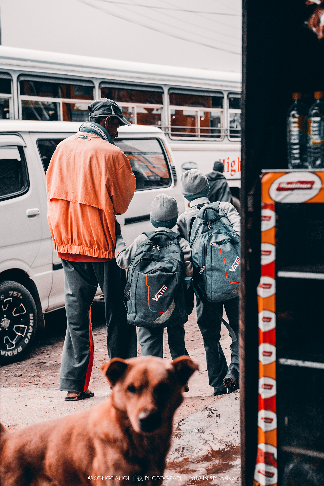 行走在印度洋上的眼泪——斯里兰卡°