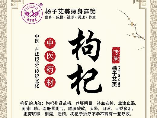 中草药海报合集（一）