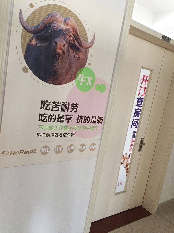 动物 平面 企业文化 企业精神 KT板 