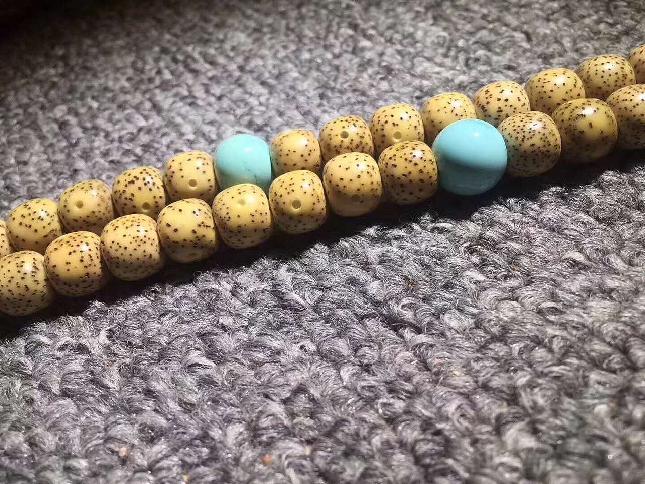 原生态干磨籽星月——龙掌柜