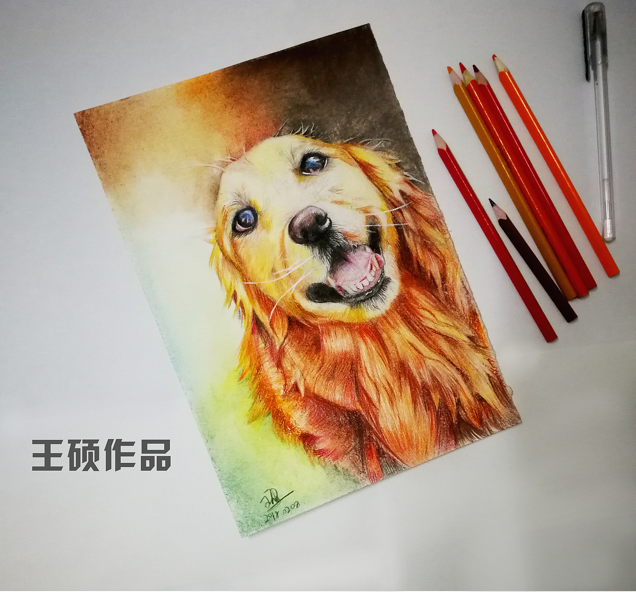 金毛犬 狗狗