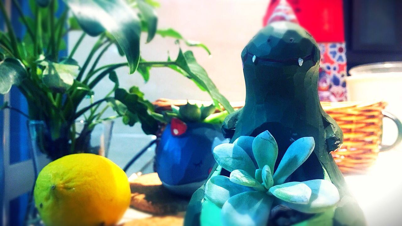 植物摄影（图ZMTE4NjIxNTg4） - 风光摄影 - 站酷设计师妞妞家的9原创素材 - 站酷ZCOOL