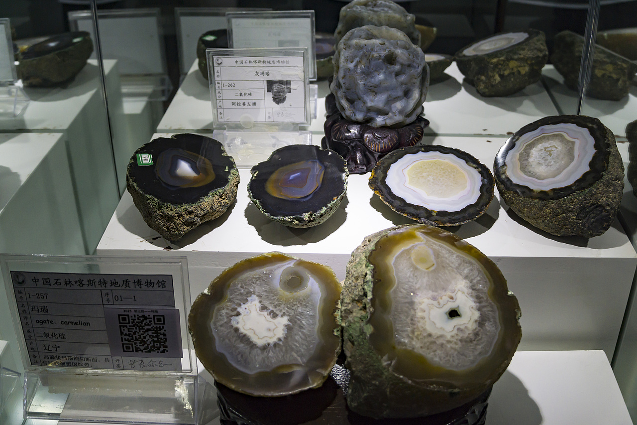 云南石林博物馆（图ZMjM0Njg4NzU2） - 其他摄影 - 站酷设计师米仓老鼠原创素材 - 站酷ZCOOL