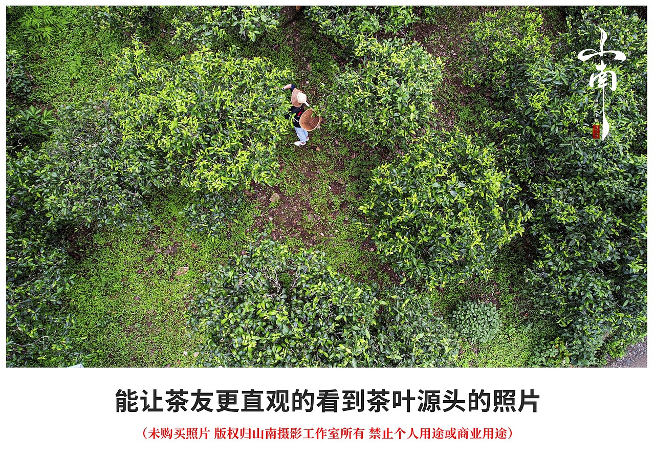 茶山素材（图ZMjY2MTQzNjY4） - 产品摄影 - 站酷设计师山南摄影原创素材 - 站酷ZCOOL
