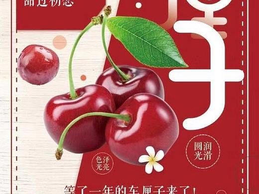 车厘子海报
