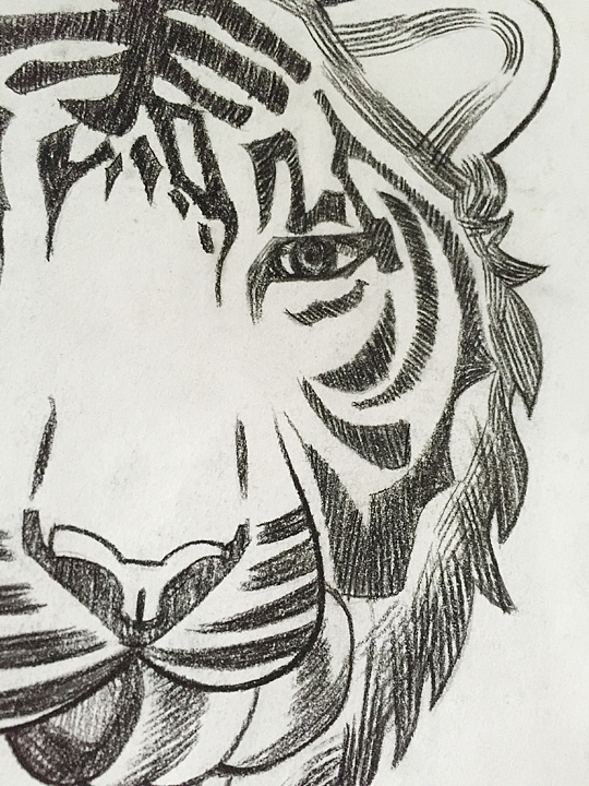 Hitiger (炭笔水彩画)（图ZMTIyMTM4MTI0） - 绘画 - 站酷设计师lilyzou原创素材 - 站酷ZCOOL