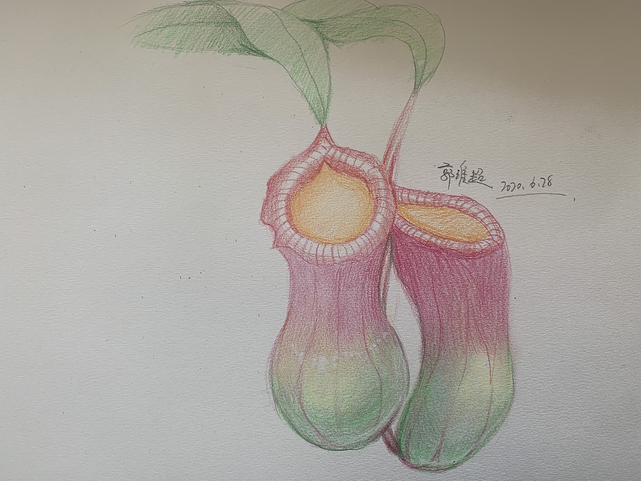 郭维超老师最新教学绘画欣赏（图ZMjEzOTk2MzM2） - 绘画 - 站酷设计师90后郭维超艺术家原创素材 - 站酷ZCOOL