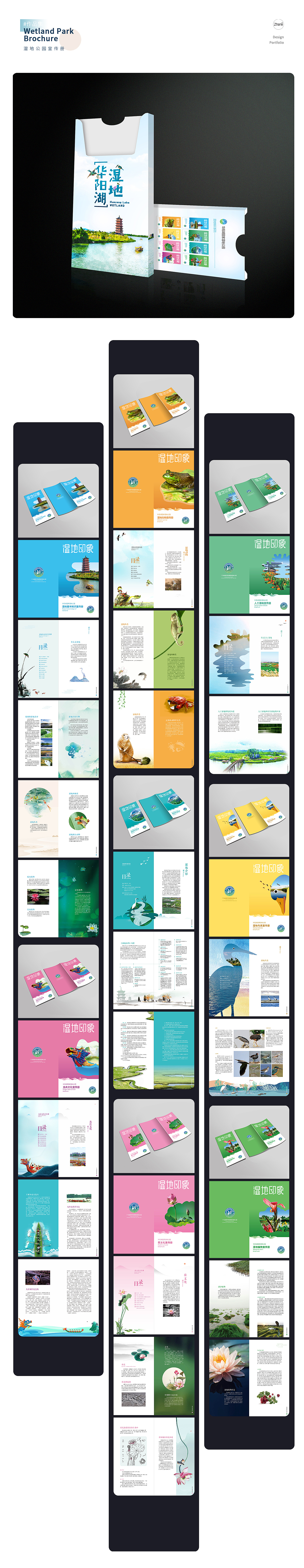湿地公园宣传册
