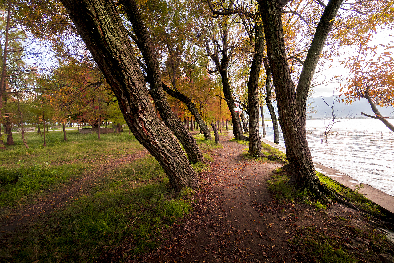 大理海舌公园（图ZMzY5MjgzMDA=） - 风光摄影 - 站酷设计师明原创素材 - 站酷ZCOOL