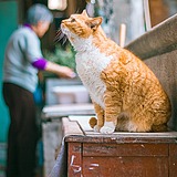 李金芮的头像