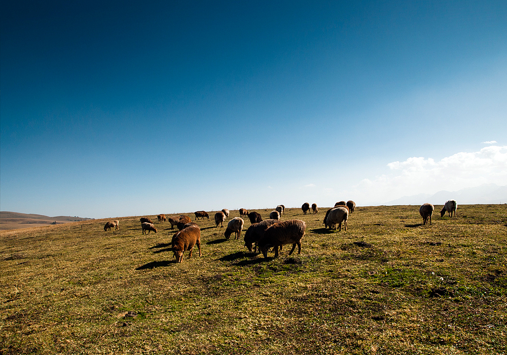 这二年拍的一些风光糖水片（图ZMTU2MzUyMDA=） - 风光摄影 - 站酷设计师ahgaoshan原创素材 - 站酷ZCOOL