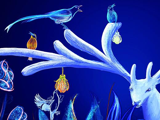 静谧·森林一角