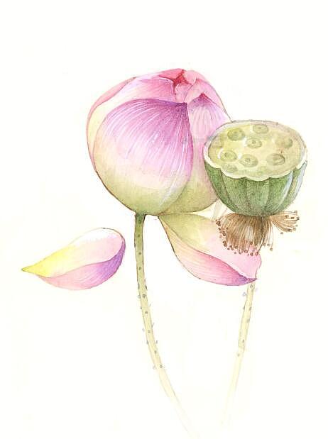 古风素材（图ZMTQ3Nzk5OTc2） - 商业插画 - 站酷设计师鸿飛插画原创素材 - 站酷ZCOOL