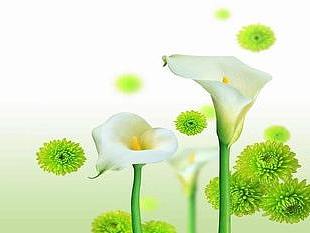 花朵（个人主页-ZMjk4NTA2NjQ=） - 新锐潮流插画 - 站酷设计师XZ1993原创素材 - 站酷ZCOOL