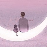 BOBHOME的头像