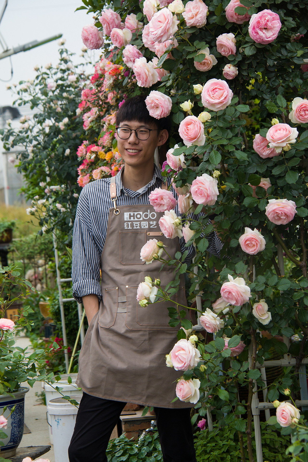 最美私家花园：月季花开的季节，可盐可甜！（图ZMjA4NTQ1OTY0） - 产品摄影 - 站酷设计师静水流深1206原创素材 - 站酷ZCOOL