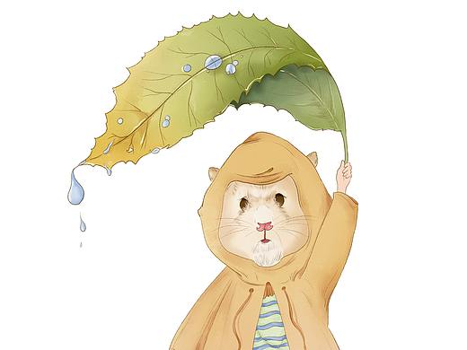 尼莫的丛林冒险