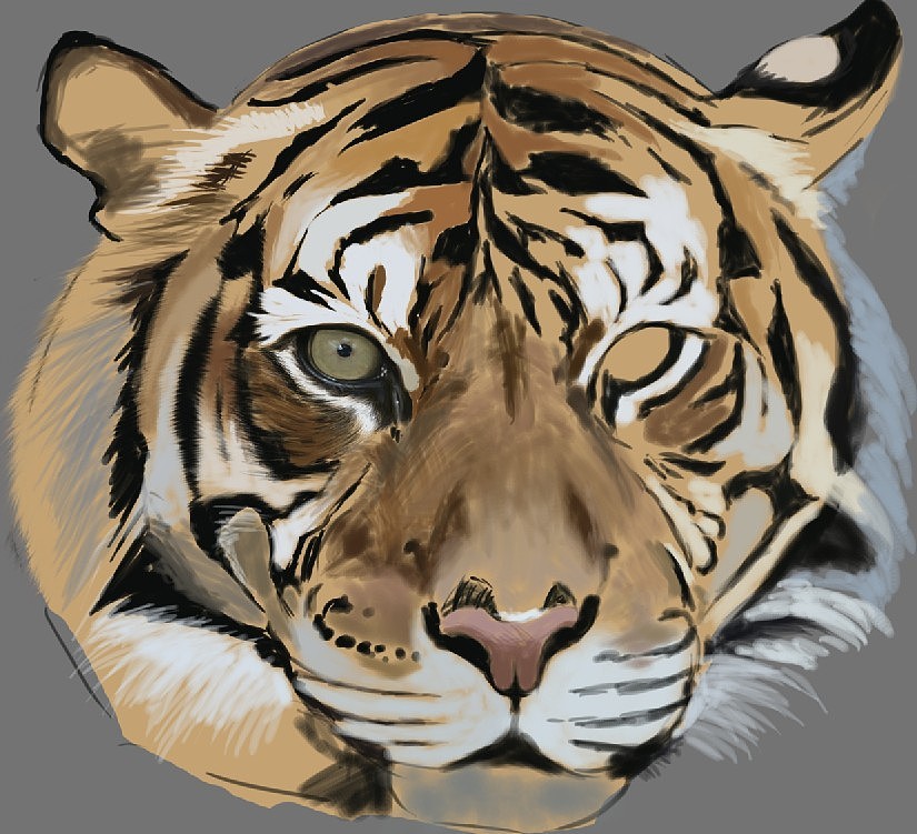 Tiger(图ZMTEyOTIwODg=) - 创作习作 - 站酷设计师SW伯爵原创素材 - 站酷ZCOOL