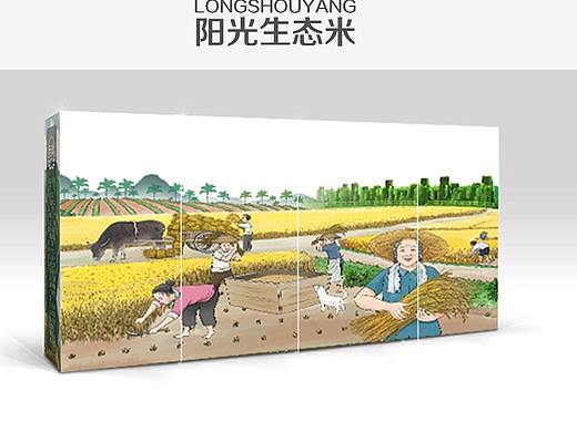 包装提案