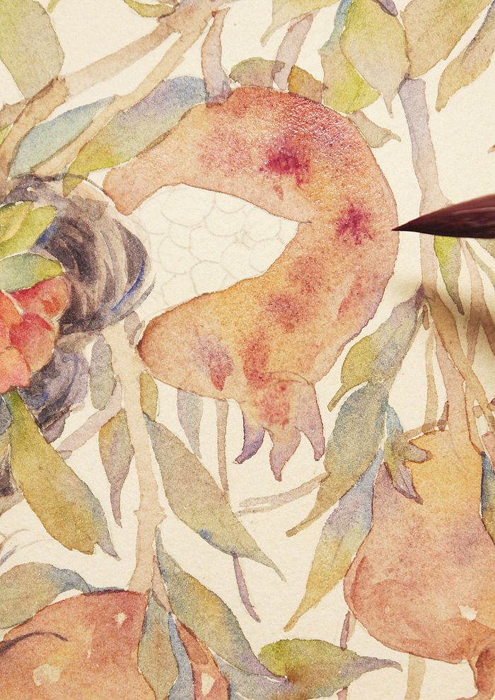 石榴红满（图ZOTcxMjY1MTI=） - 商业插画 - 站酷设计师红花HONGHUA原创素材 - 站酷ZCOOL