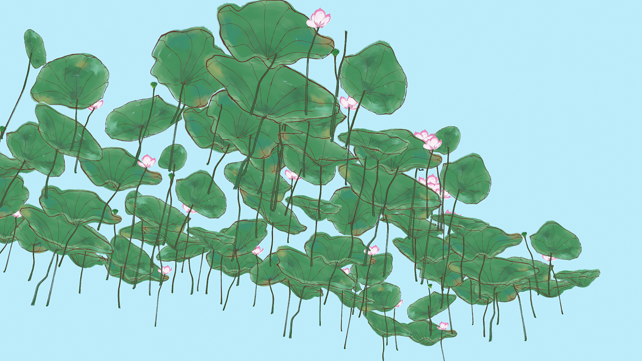 《无穷碧-仿水墨半工半写国风荷花图》