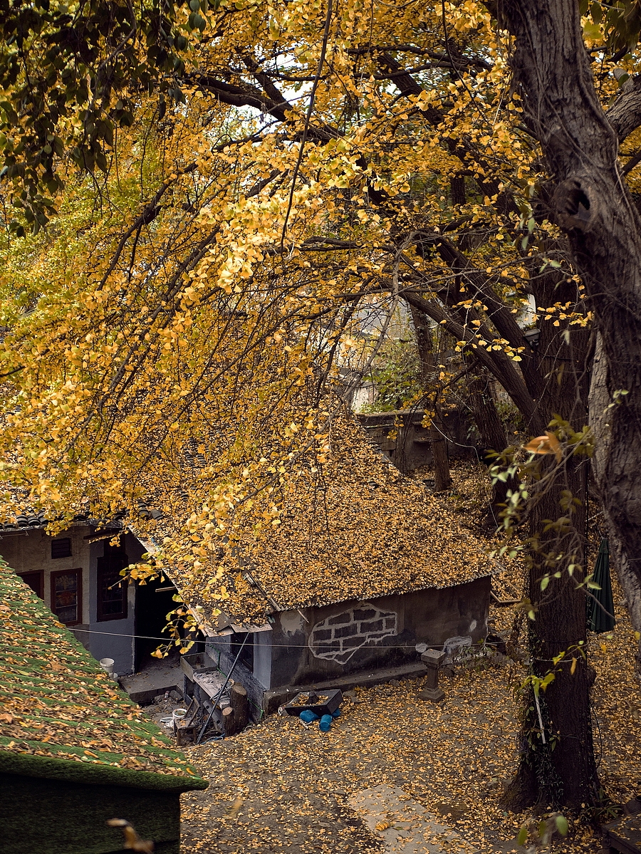 季节（图ZMjA3MDgwMDI0） - 风光摄影 - 站酷设计师leijianyou原创素材 - 站酷ZCOOL