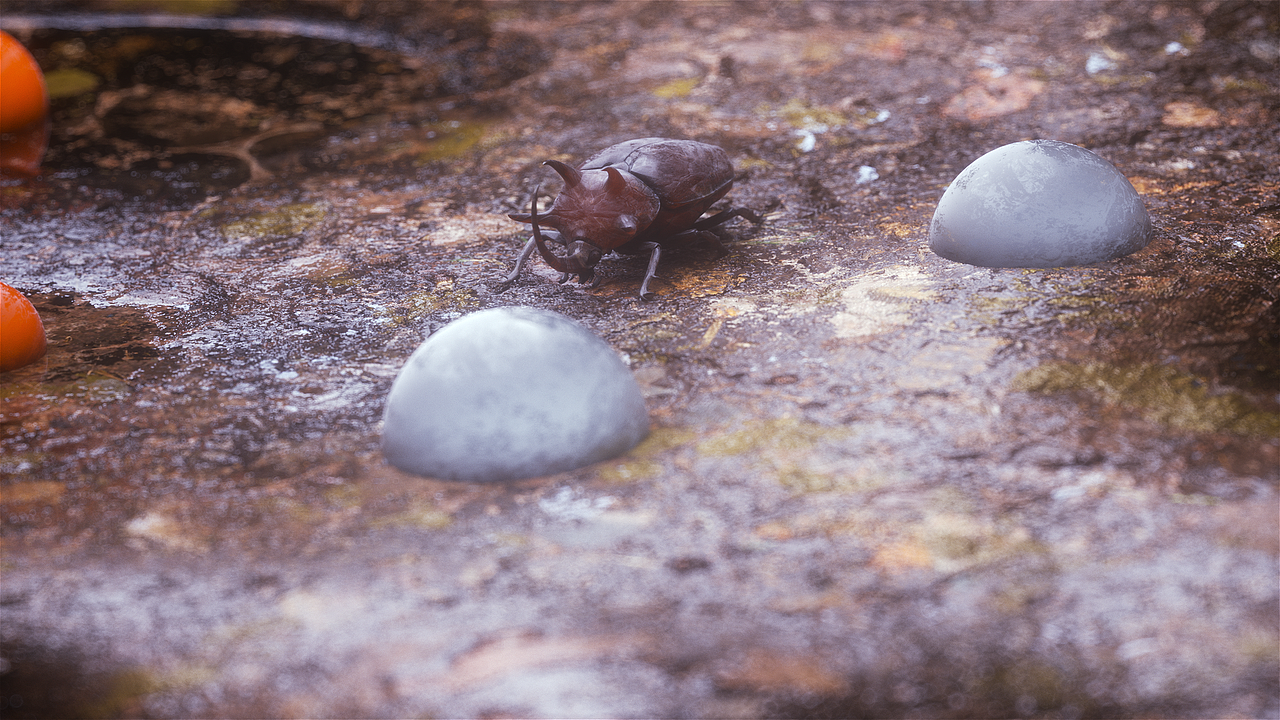 《自由世界》：Insect（图ZMTU4MjY4ODg0） - 场景 - 站酷设计师杰高C4D原创素材 - 站酷ZCOOL