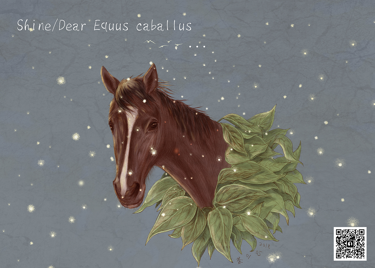 2.她的梦里住着一匹马，
梦幻遗落就在一刹那。<br>短短时间怎感觉漫长，<br>随着时间怎么又遗忘。<br><br>2018年5月2日。<br>荼说。