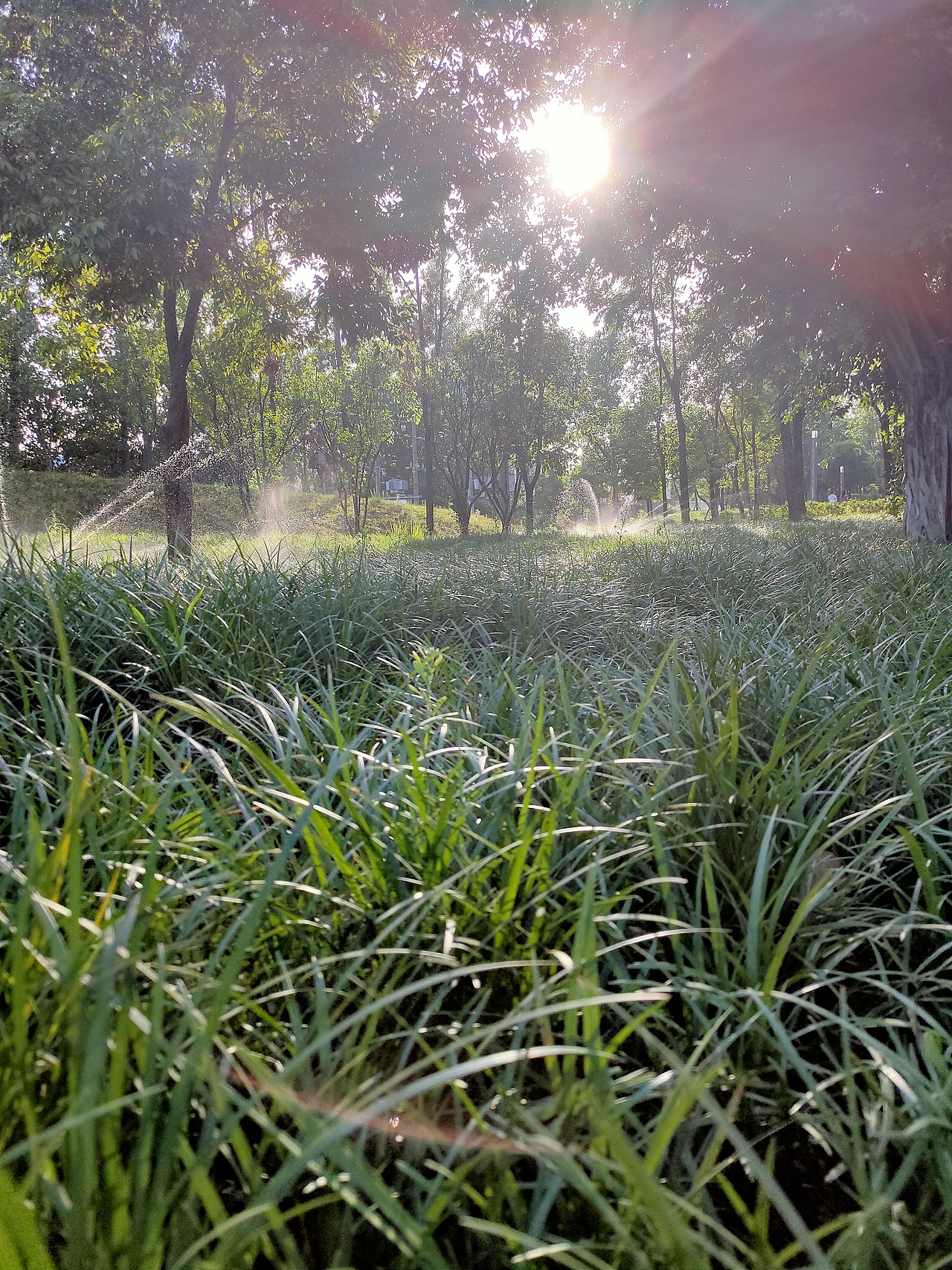 隨手拍（圖ZMjM3NTI2MTAw） - 風(fēng)光攝影 - 站酷設(shè)計(jì)師何處尋安暖原創(chuàng)素材 - 站酷ZCOOL