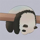 梅子鱼的头像