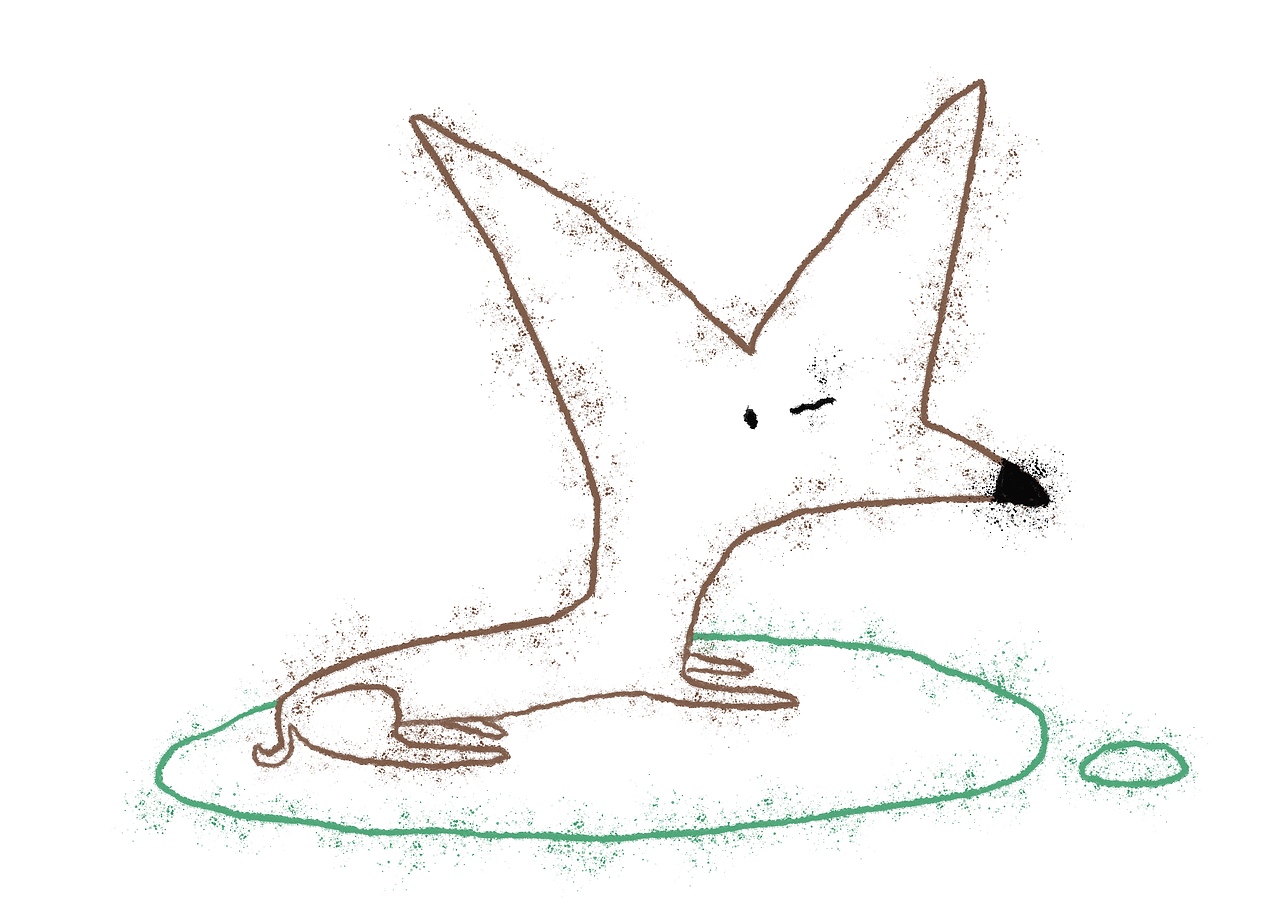 一路上都在涂鸦