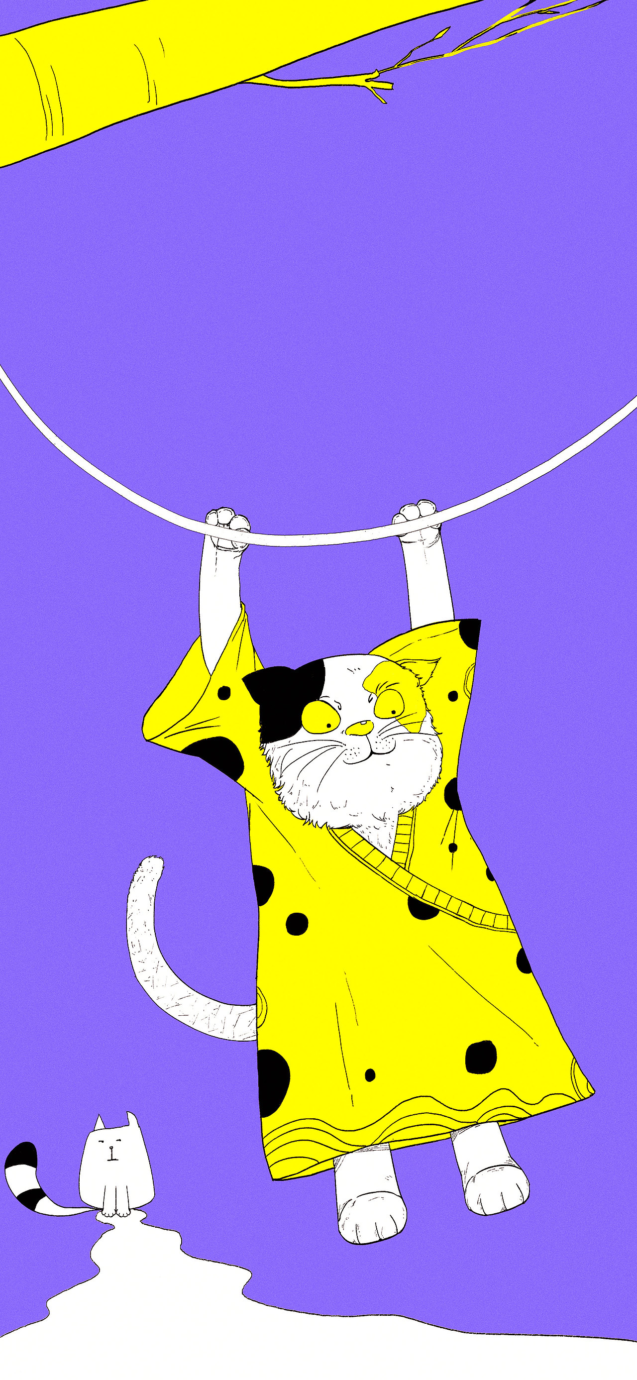 猫（图ZMjIyMDM3NTY0） - 创作习作 - 站酷设计师北沫有路原创素材 - 站酷ZCOOL