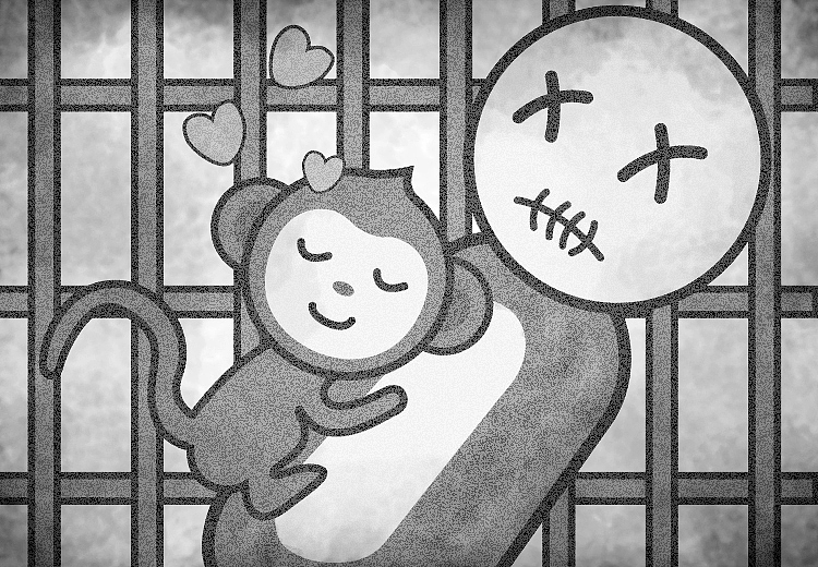 《哈洛的恒河猴试验》