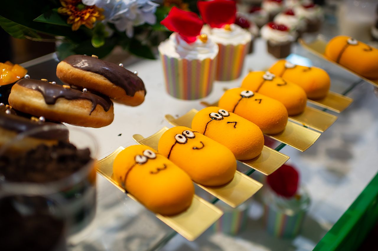 万科新都会景观示范区开放