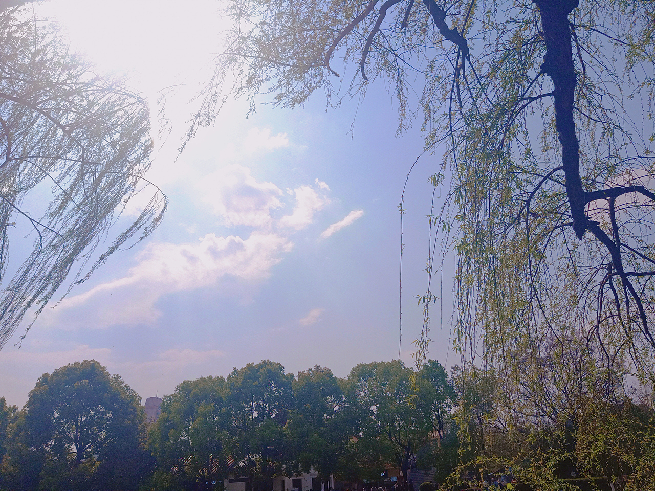 风景（图ZMjQ1NTY1MzU2） - 风光摄影 - 站酷设计师FlippedL原创素材 - 站酷ZCOOL